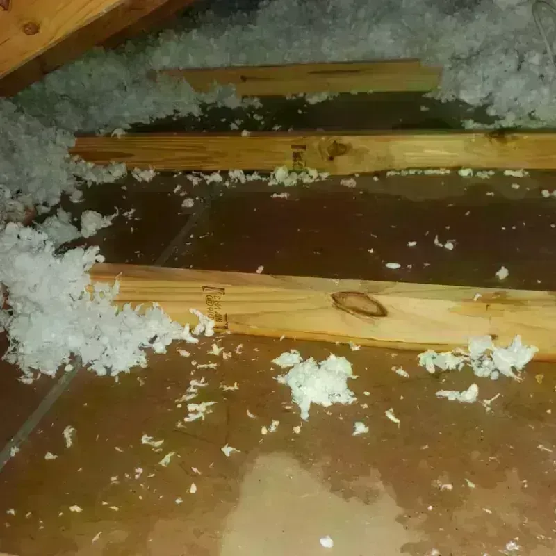 Attic Water Damage in Cave Springs, AR