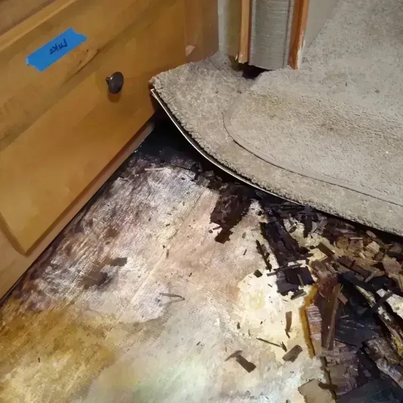 Best Wood Floor Water Damage Service in Cave Springs, AR